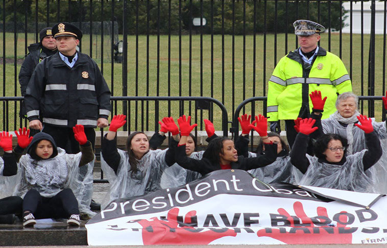 Arrestan a 14 activistas frente a la Casa Blanca por protestar contra redadas