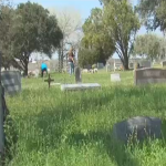 Cementerio copy