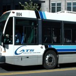 discover_cats_bus