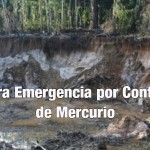 ercurioslider