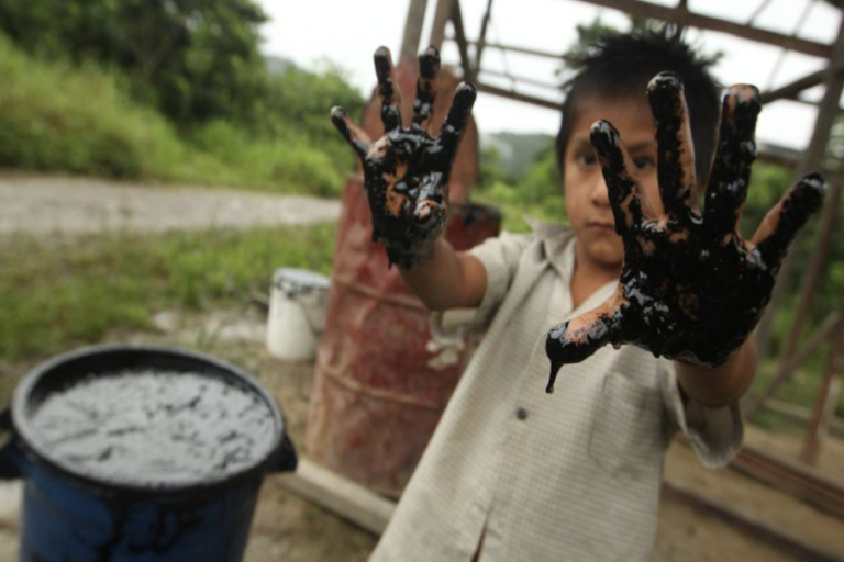 Grave impacto ecológico en Venezuela