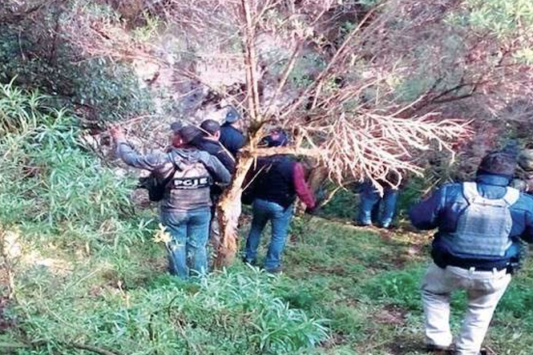 Liberan a hombre que duró 12 días secuestrado