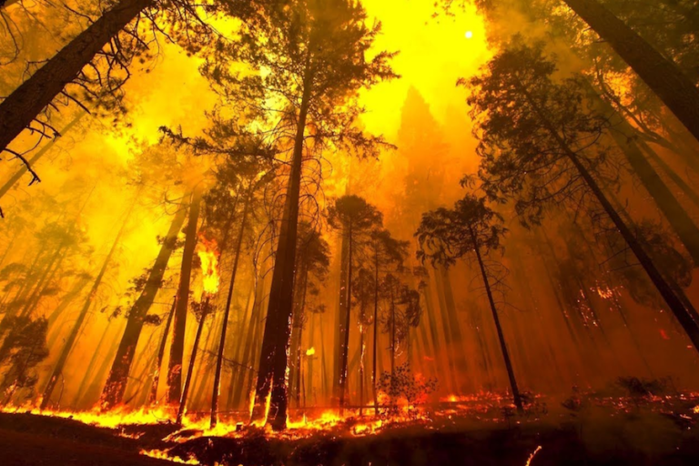 Aumentan los muertos en Gatlinburg, TN por ‘Wildfires’