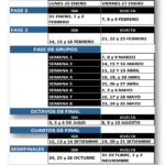 copa-libertadores-017