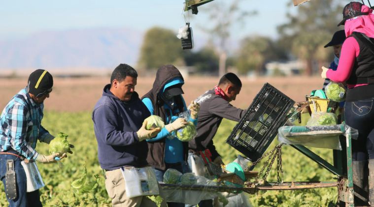 Alcaldías mexicanas reúnen dinero para defensa de migrantes