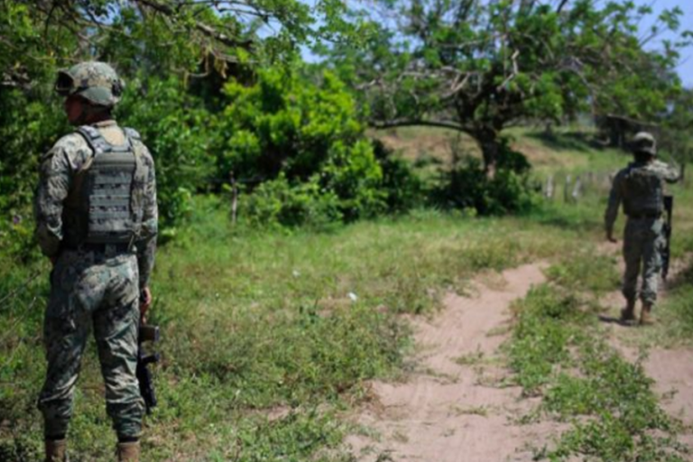 Hallan 47 cráneos en fosa de Alvarado, Veracruz