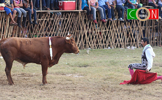 Fallece de una cornada torero mexicano