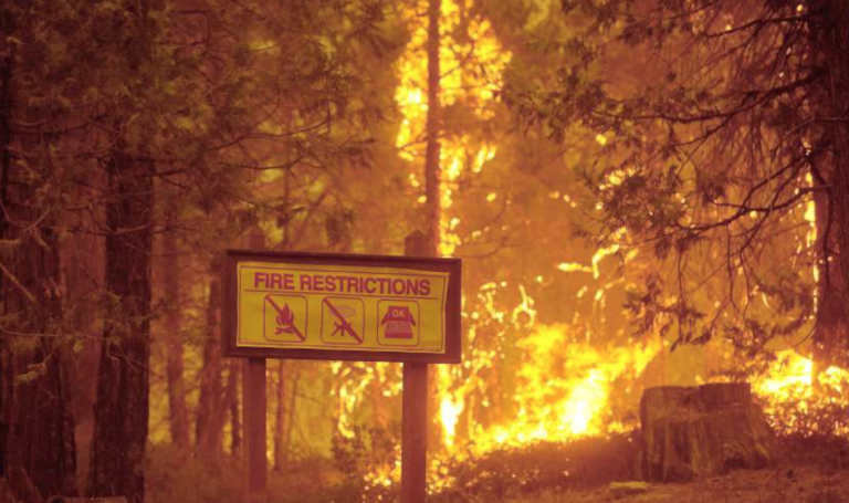 CA en alerta por incendios forestales