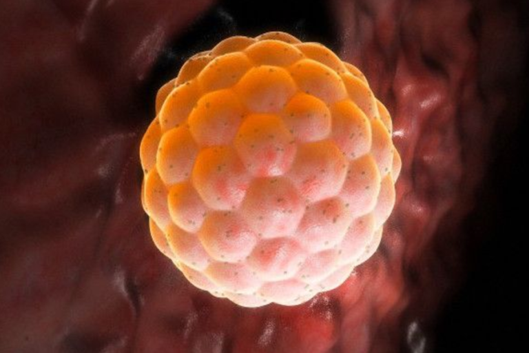 Científicos alteran genes de embriones humanos