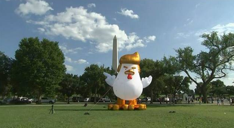 Gallina parecida a Trump sorprende frente a la Casa Blanca
