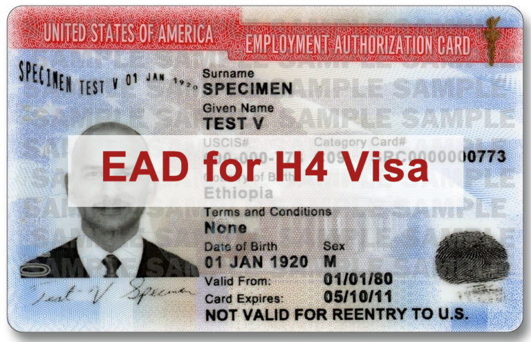 Trump quiere eliminar la Visa H-4