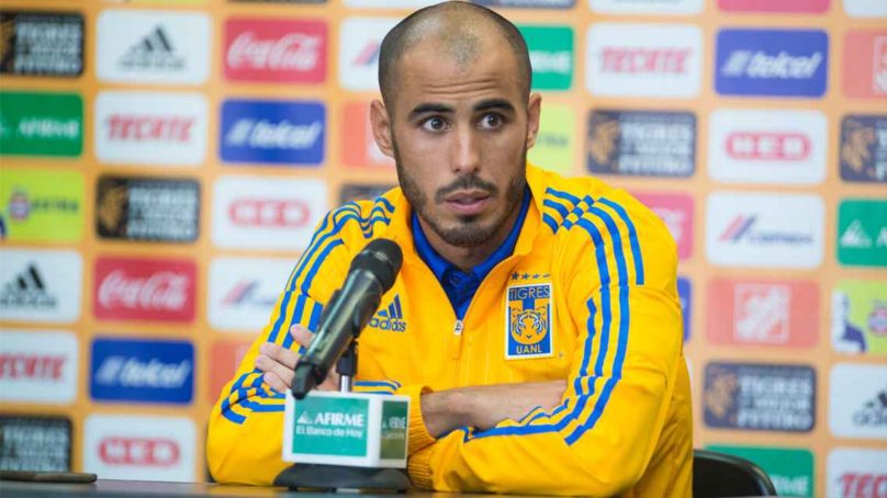 Tigres