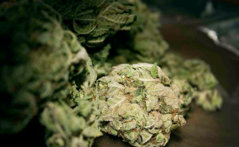 Finge estar embarazada para cargar droga