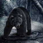 Oso negro