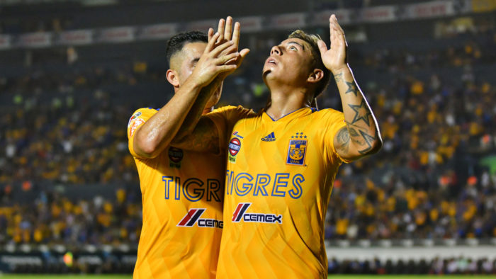 Tigres