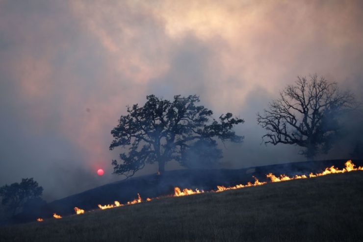 Incendio forestal en California