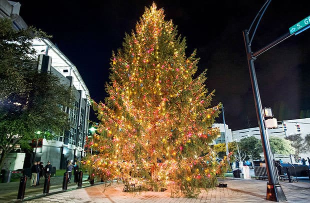 HOY iluminan árbol de Carolina Panthers