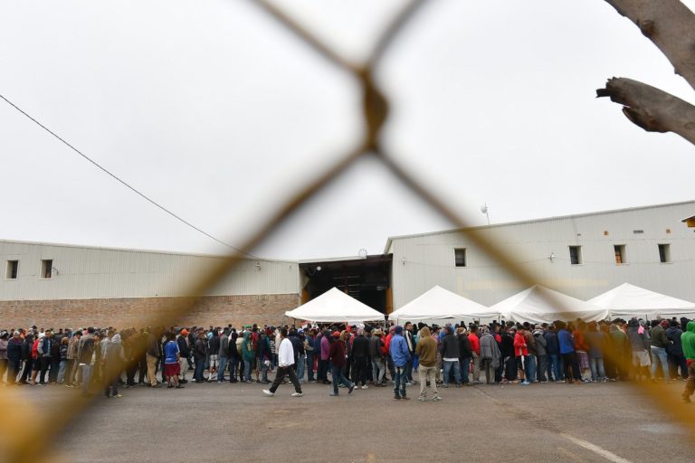 Más de 600 migrantes detenidos en frontera de Nuevo México