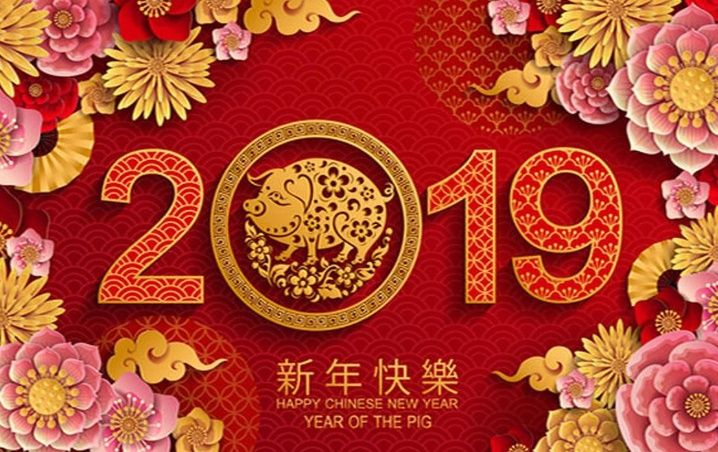 El Año del Cerdo: Nuevo año chino