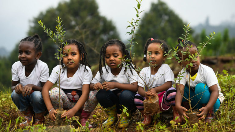 Campaña de reforestación rompe récord en Etiopía