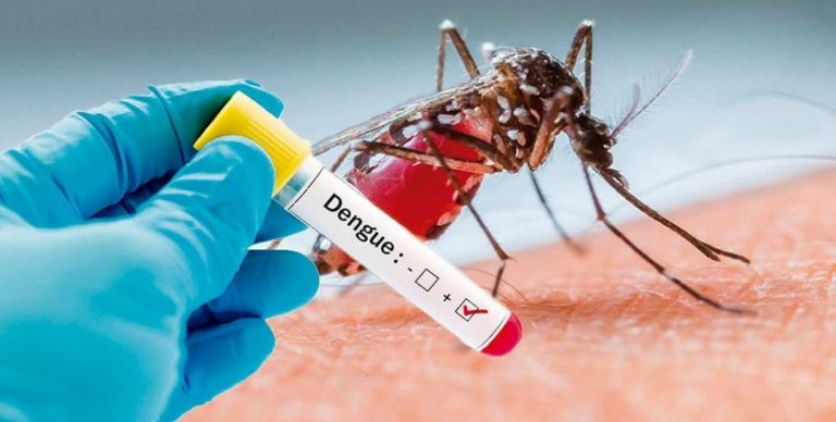 Florida en alerta por casos confirmados de dengue