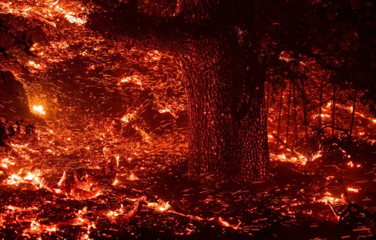 California: Fuego incontrolable deja miles de hectáreas destruidas y evacuaciones