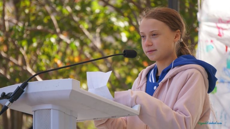Greta Thunberg protagonizó huelga climática en Charlotte
