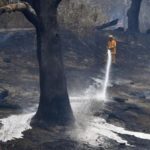 Incendio Australia/ EFE