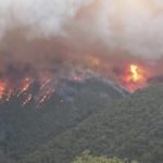 Australia incendio
