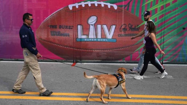 La seguridad en el Super Bowl no es juego