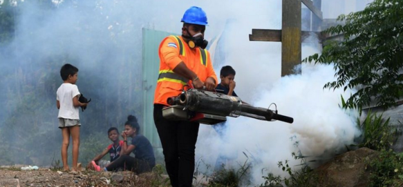 Confirman cinco muertos por dengue en Honduras