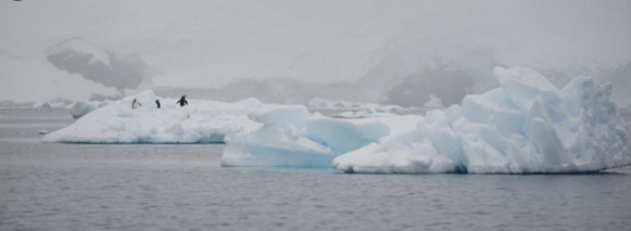 El calentamiento global está derritiendo el hielo antártico