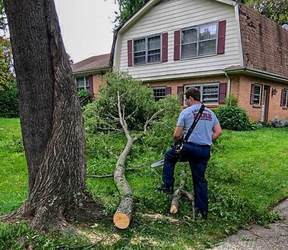 Retiran árbol que cayó en patio de anciano