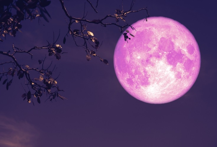 La luna Fresa se podrá observar esta noche