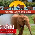 fin de semana WEB-compressed