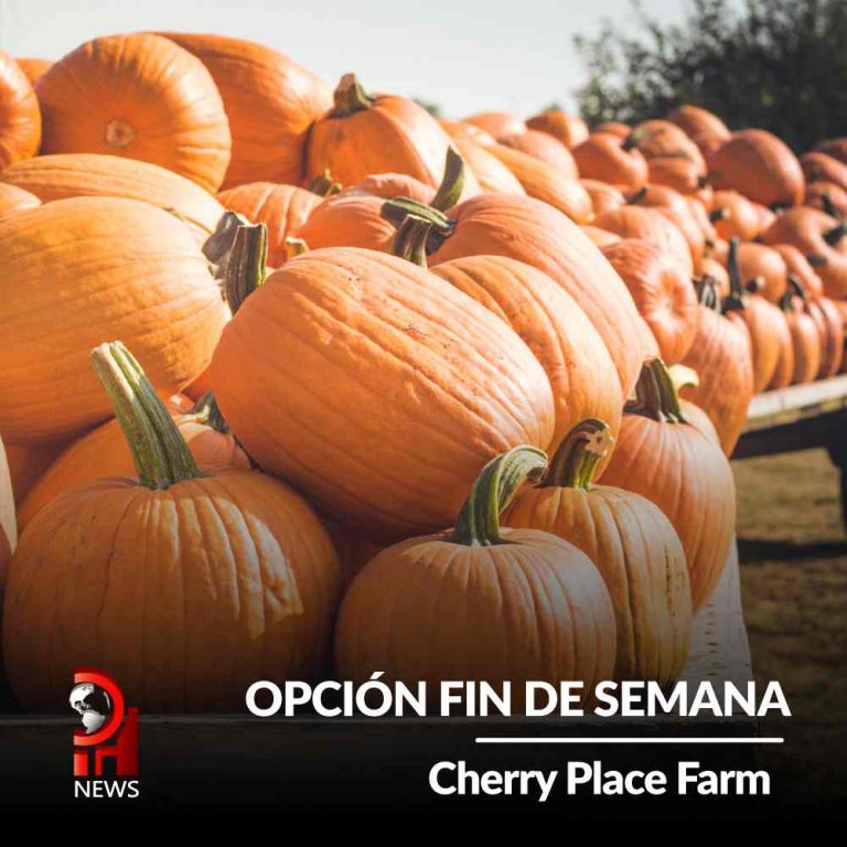 Opción fin de Semana: Cherry Place Farm