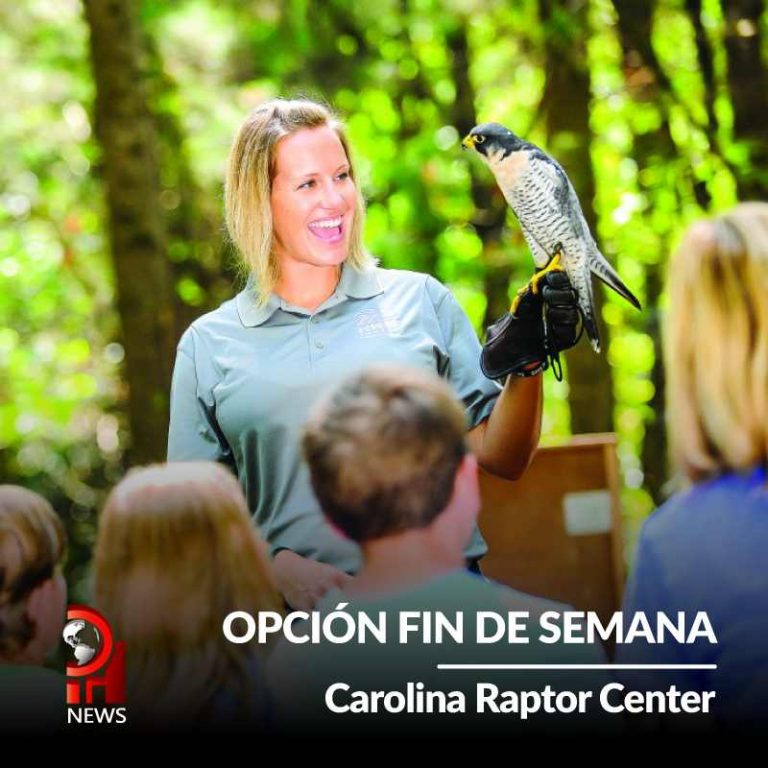 Opción Fin de Semana: Carolina Raptor Center