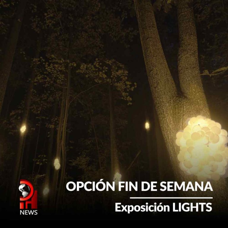 Opción Fin de Semana: Lights