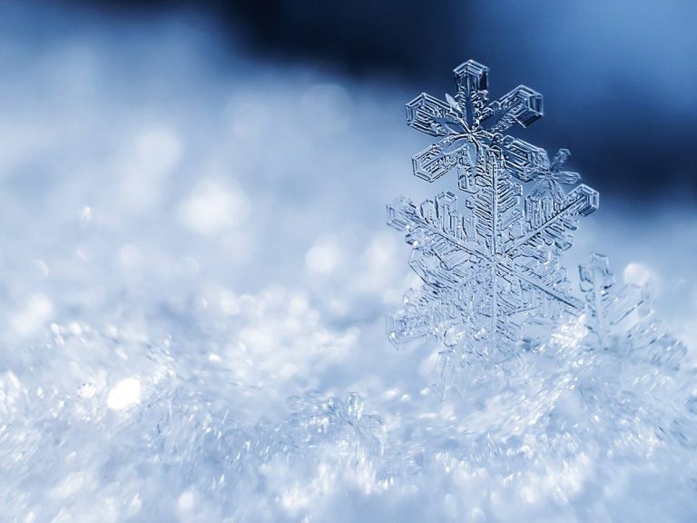 Se espera nieve en Carolina del Norte de miércoles a jueves