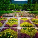North-Carolina-Arboretum