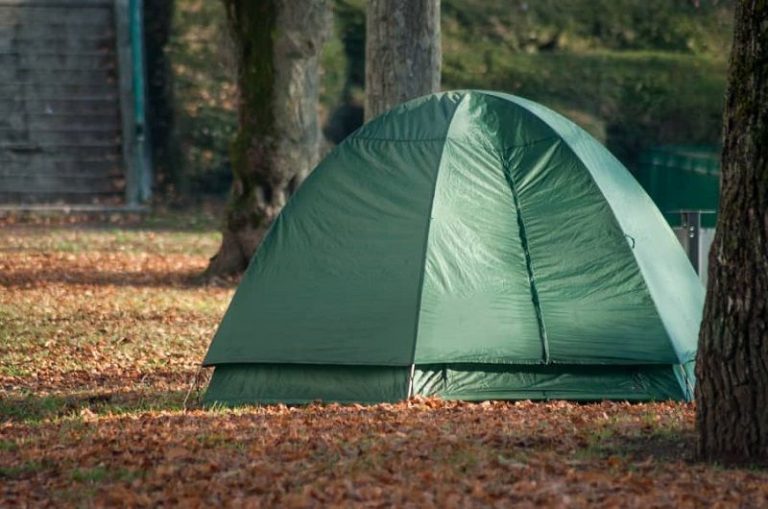 Desalojarán campamento Tent City por infestación de roedores