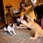 cómo cuidar a tu mascota