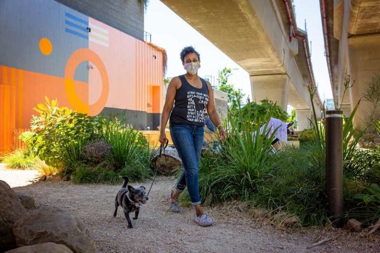 ¿Paseas a tu perro? Estos consejos te ayudarán a cuidar la salud de tu mascota