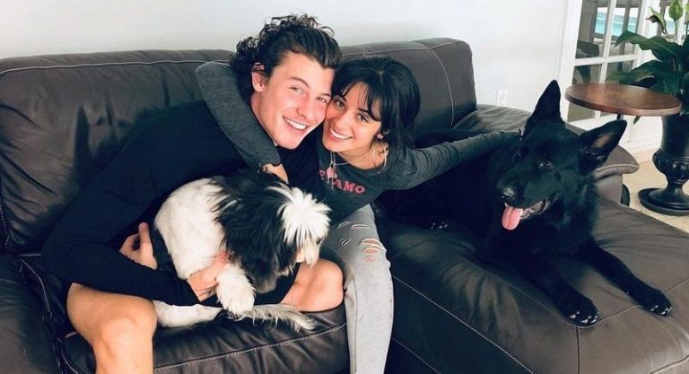 ¡Qué susto! Camila Cabello y Shawn Mendes asaltados en su propia casa