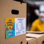 cajas de alimento