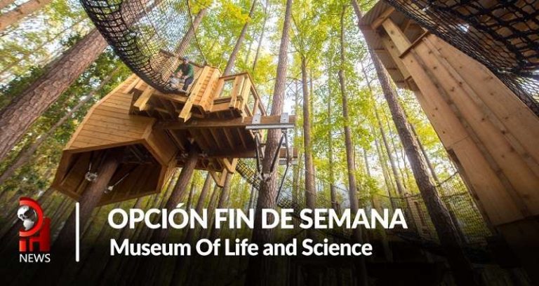 Opción fin de semana: Museum of Life and Sciencie