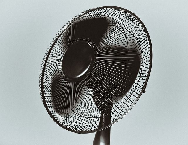 Averigua dónde retirar ventiladores gratuitos en verano