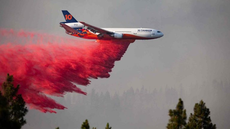 Incendio Bootleg arrasa área de 569 millas cuadradas