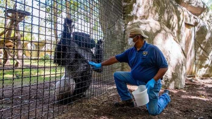 North Carolina Zoo no puede reabrir exhibiciones
