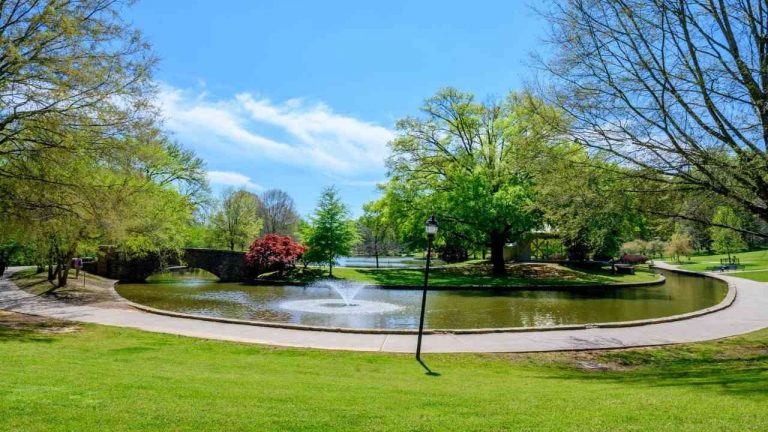 Zumba la disciplina aeróbica de moda que aporta grandes beneficios